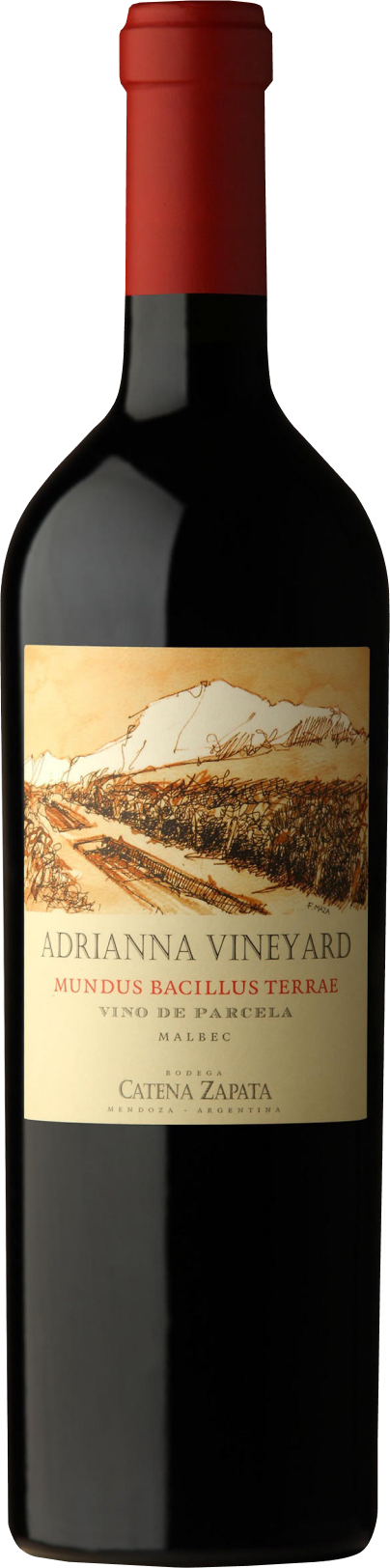 Catena Zapata, Mundus Bacillus Terrae, 2018