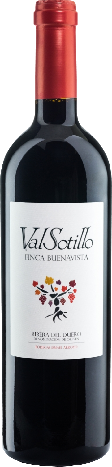 Bodegas Ismael Arroyo, Valsotillo Finca Buenavista, 2019