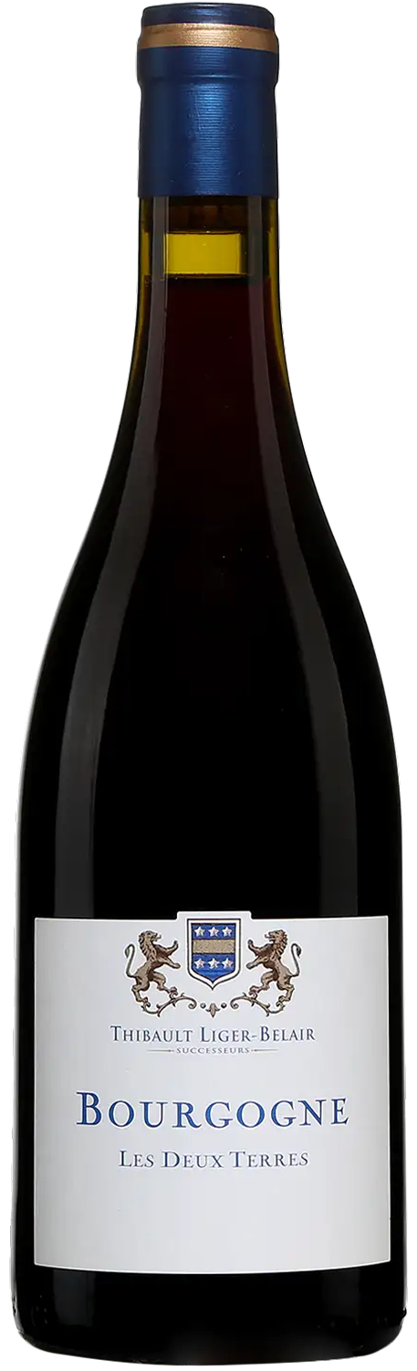Domaine Thibault Liger-Belair, Bourgogne Gamay Les Deux Terres, 2019