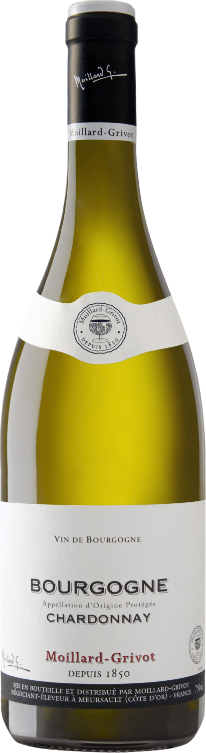 Moillard-Grivot, Bourgogne Chardonnay, 2023